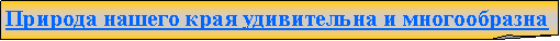 Загнутый угол: Природа нашего края удивительна и многообразна